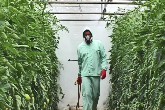 Επικίνδυνα φυτοφάρμακα σε χέρια ανυποψίαστων καταναλωτών!