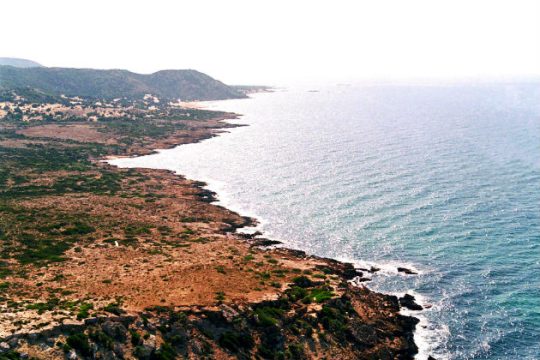 Ντάλα καλοκαίρι ΙΙ