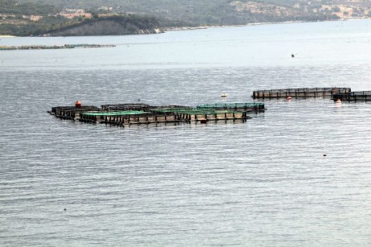 Μπόρες από το μεσημέρι στα ηπειρωτικά