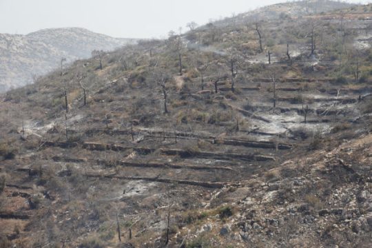 Η Χίος μετράει τις πληγές της