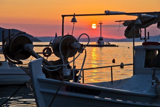 Ντάλα καλοκαίρι V