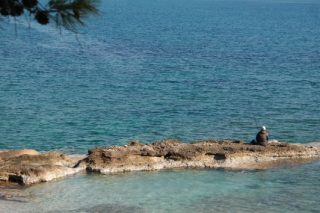 Ψάρευε με… χλωρίνη