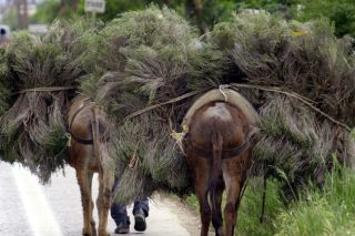Ελάτε τώρα με το Noor 1, δεν περιείχε και ρίγανη για να κάνετε έτσι