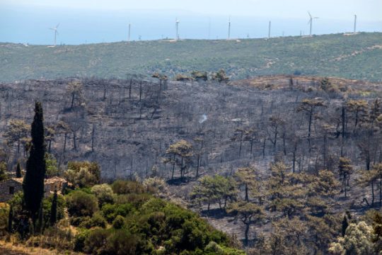 Σάμος: 4ετής ποινή με αναστολή για εμπρησμό