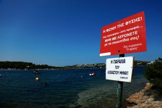 Στη θάλασσα! Για τη θάλασσα…