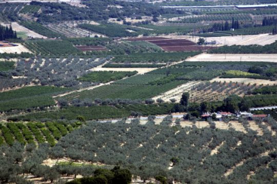 Προστασία στην εκτός σχεδίου γεωργική γη υψηλής παραγωγικότητας