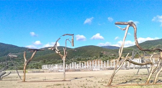 Αλογα και άνθη ανάμεσα στ’ αρχαία