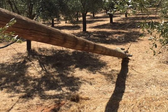 Νεκρός σε εργατικό ατύχημα στο Αγρίνιο