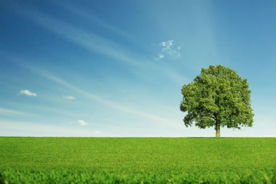 Τα επτά απαγορευμένα καταναλωτικά αμαρτήματα