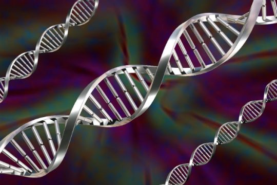 Έλπίδες από την καταγραφή της μνήμης του DNA