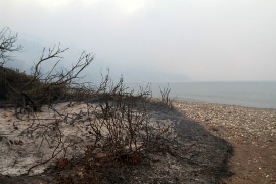 Πώς θα αποζημιωθούν οι παραγωγοί της Β. Εύβοιας