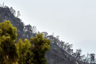 Αναζητούν τα στοιχεία του απανθρακωμένου