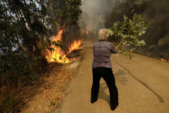 Παρανάλωμα πυρός 57.000 στρέμματα στην Ισπανία