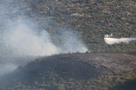 Δασική πυρκαγιά στη Νεμέα