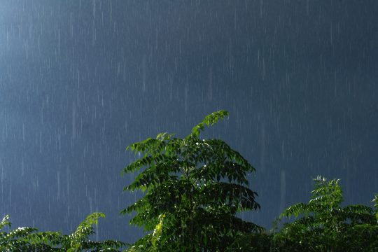 Καταιγίδες και μικρή πτώση της θερμοκρασίας