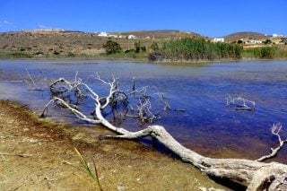 Πάρτι μελετών στις περιοχές Natura