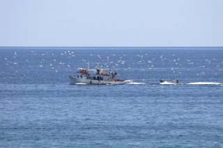 84 ημέρες χωρίς ψάρι…