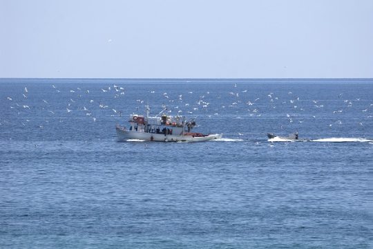 84 ημέρες χωρίς ψάρι…