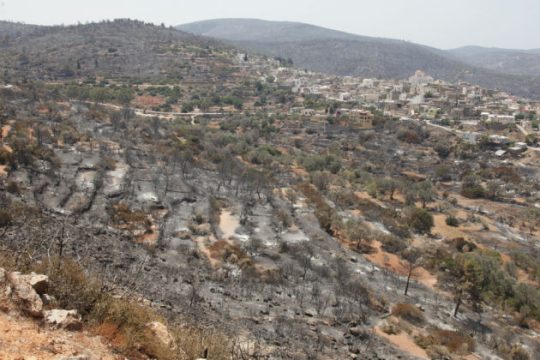 Σε ύφεση το πύρινο μέτωπο της Χίου μετά τις αναζωπυρώσεις