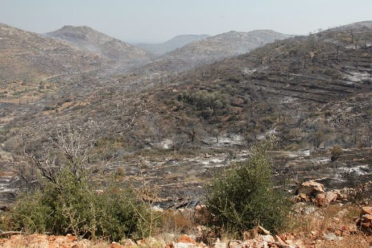 Μάχη με τις φλόγες σε Χίο, Ασπρόπυργο, Μενίδι