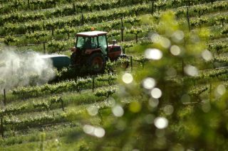 Περιορισμός στη σπατάλη και αύξηση της αρδευόμενη γης
