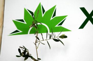 Μια παλιά πληγή (ξανα)αιμορραγεί