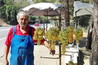 Τα μαγαζάκια του τρόμου στην εθνική οδό