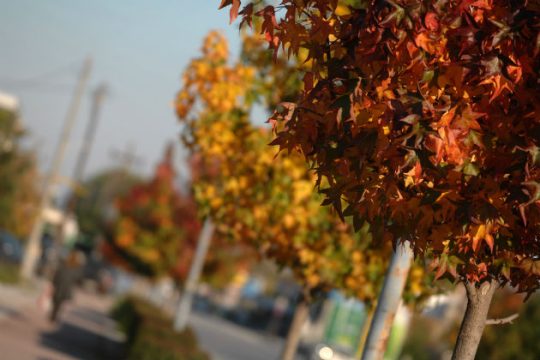 Καλός καιρός, μικρή άνοδος της θερμοκρασίας