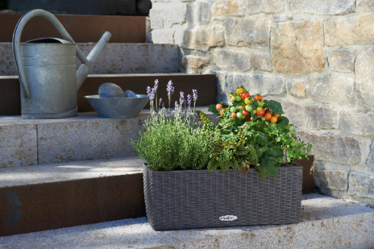 Η COTTAGE Collection της LECHUZA
