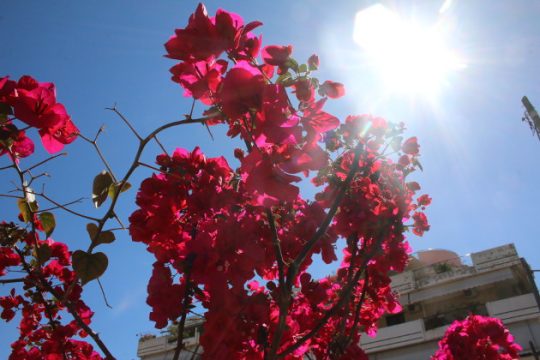 Επιστρέφει το… καλοκαίρι