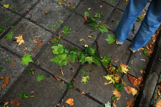 Βροχερός ο καιρός την Παρασκευή