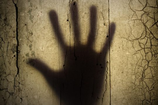 Τζαμάλ Τζόζεφ, Μαύροι Πάνθηρες Πενήντα χρόνια μετά