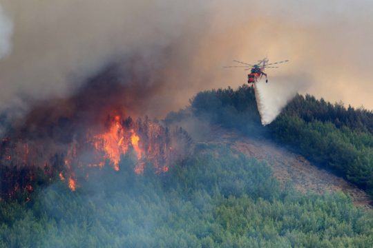 Συνεχίζει το καταστροφικό της έργο η πυρκαγιά στη Θάσο