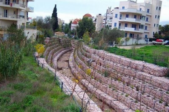 Μετά το μπάζωμα, κόβουν και τα δέντρα