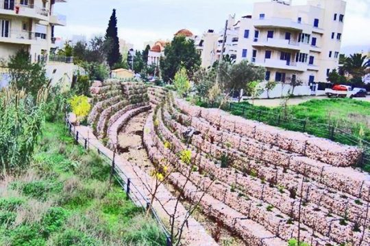 Μια απάντηση στον κύριο σύμβουλο