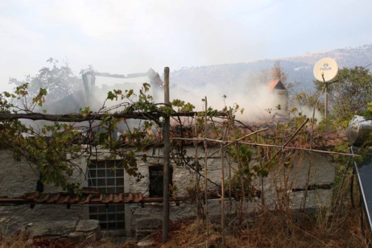 Καταστροφές από την πυρκαγιά στη Θάσο: το αποτέλεσμα μιας κακής διαχείρισης κρίσης