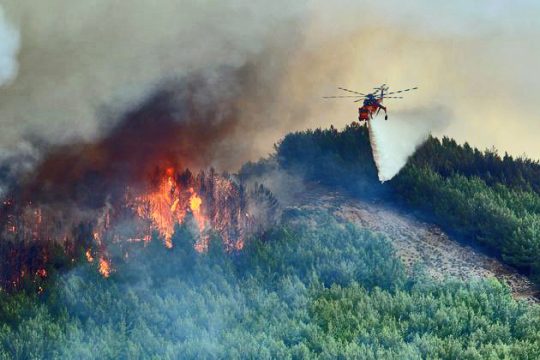 Αμεσα μέτρα για τους πληγέντες