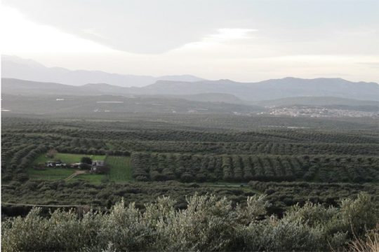 Τεκμηριωμένες αντιρρήσεις για το έργο του Καστελίου – Παρέμβαση στην ΕΤΕπ