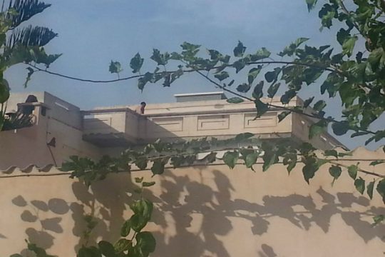 Νεαρός χανιώτης απειλεί να πέσει από την ταράτσα