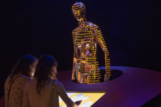 Ξεκινά η δημιουργία ανθρώπινου κυτταρικού Άτλαντα