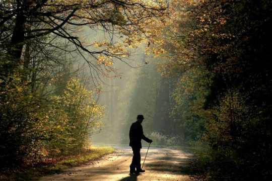 Το λίκνο του Λόγου*: Οι ηλικιωμένοι εξωθεσμικοί καθημερινοί αφηγητές μας