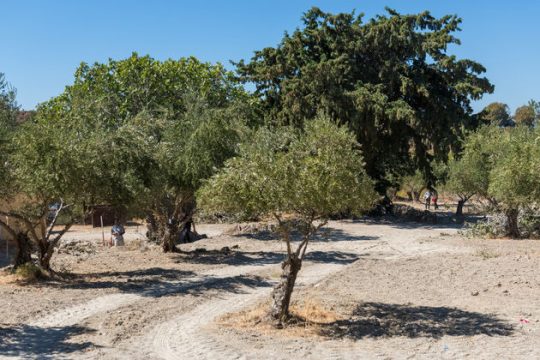 Επανάκτηση εκτάσεων που παραχώρησε το Δημόσιο σε χαμηλές τιμές