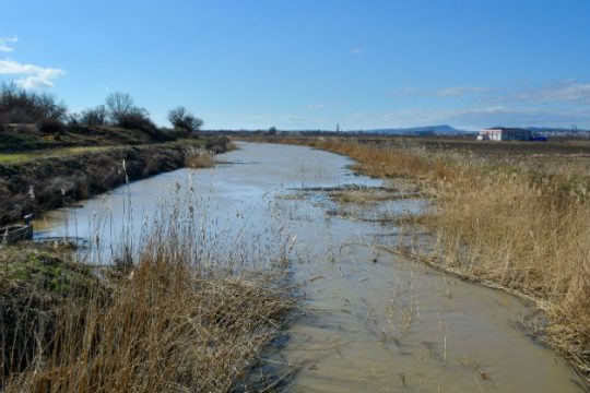 Sabah: Πέντε Τούρκοι συνελήφθησαν στην Ορεστιάδα