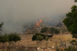 Πάνω από 300.000 στρέμματα «έφαγε» φέτος η φωτιά