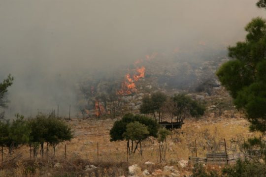 Πάνω από 300.000 στρέμματα «έφαγε» φέτος η φωτιά