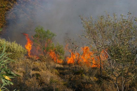 Πυρκαγιά στο Τεφέλι Ηρακλείου