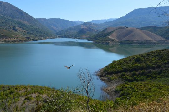 Γιορτή πουλιών με ισχυρά μηνύματα στο Αμάρι