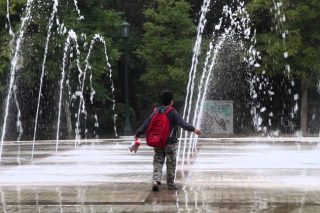 Λόφοι από ηλιόσπορους