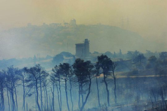 Φραγμός στους καταπατητές καμένων εκτάσεων
