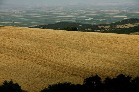 Μαρίνος Αντύπας: η ξεχασμένη δίκη…